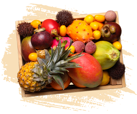 Obst und Exoten